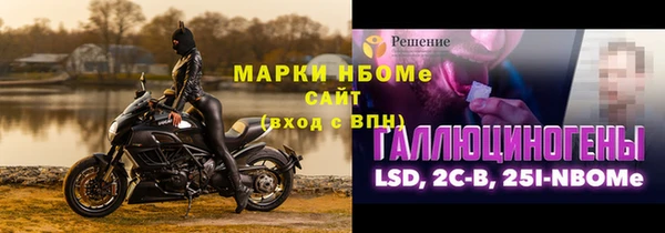 стаф Алзамай