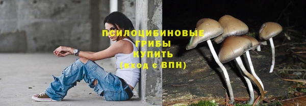 крисы Алексеевка