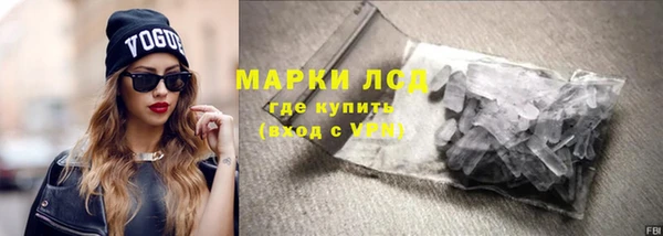 стаф Алзамай