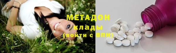 стаф Алзамай