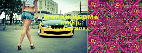 стаф Алзамай