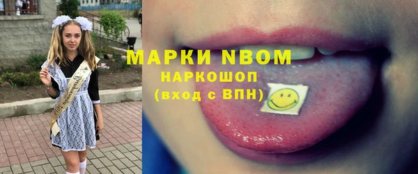 стаф Алзамай